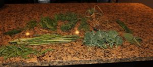 delicious home-grown greens!