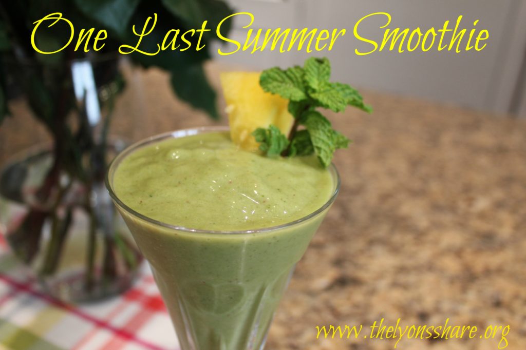 last summer smoothie 2 the lyons share image