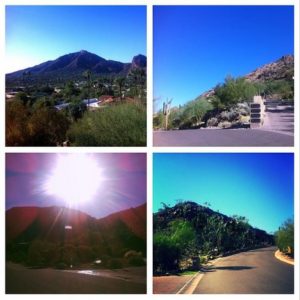 scenes from arizona run