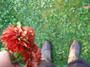 10 things to do each day