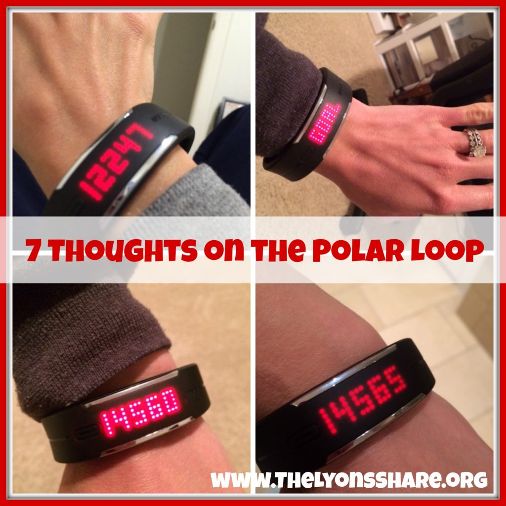polar loop