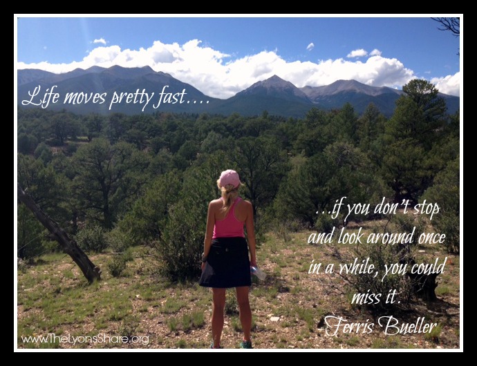 stop and look around once in a while - fb 8.31.14