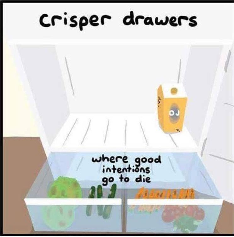 how to store vegetables