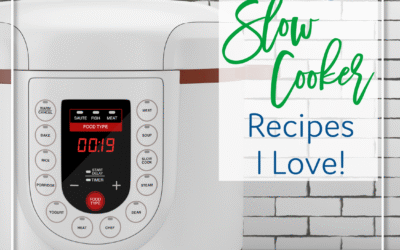 20 Healthy Slow Cooker Recipes I Love