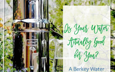 Is Your Water Actually Good for You? A Berkey Water Filter Review