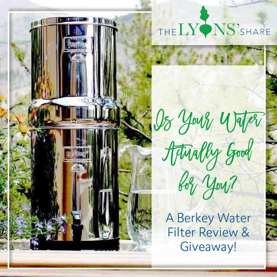 Berkey Filter Berkey filter review