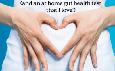 Why Gut Health is Critical to Overall Health (and an at home gut health test that I love!)