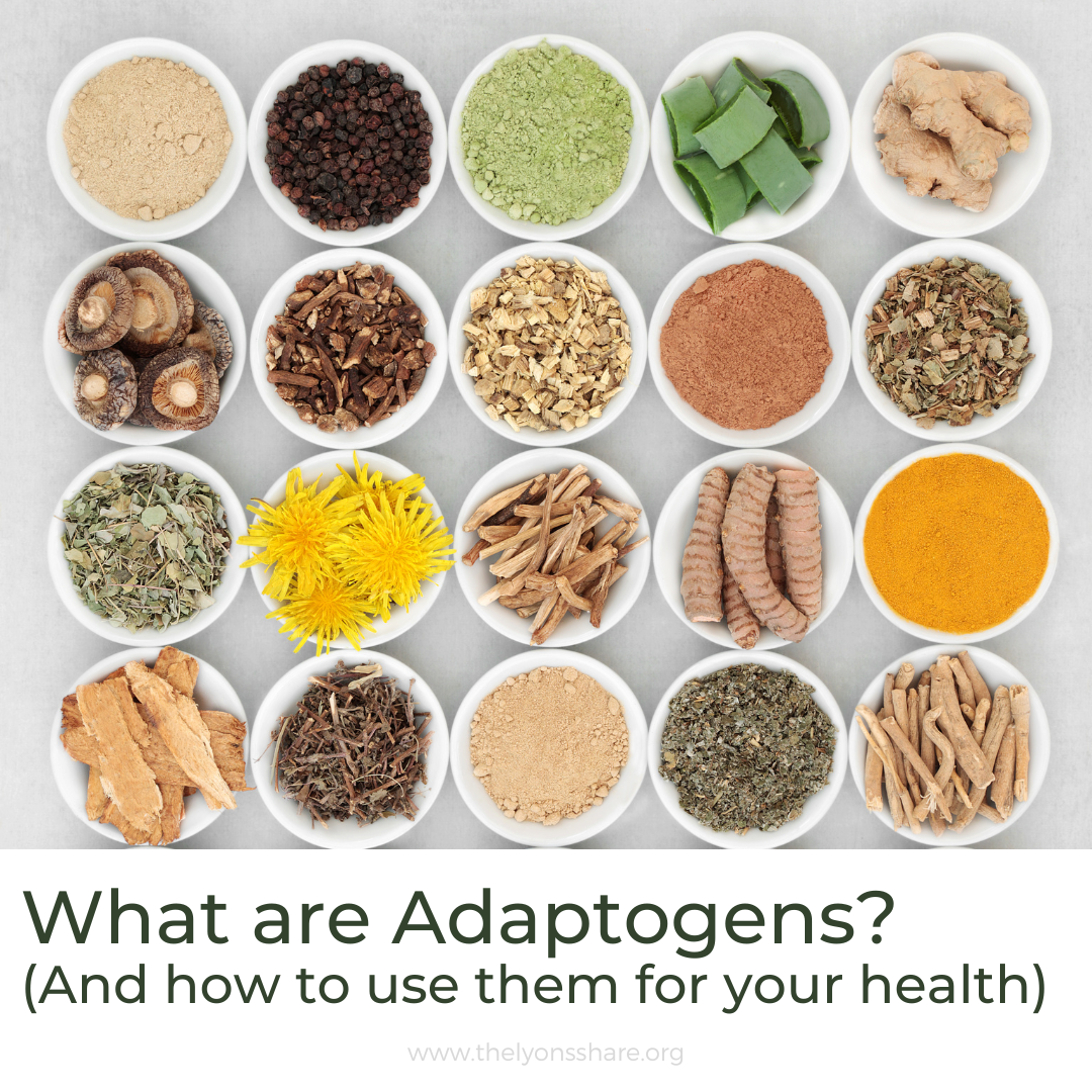 What are adaptogens? (And how to use them for your health) What are adaptogens? (And how to use them for your health)