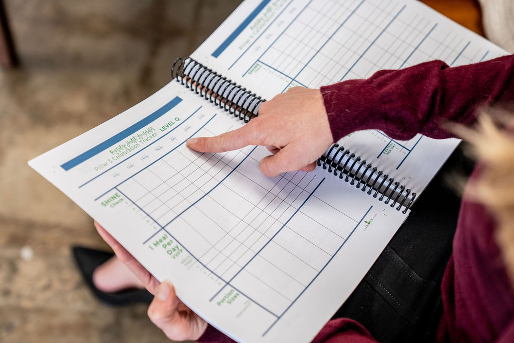 The Revitalize Health Accelerator