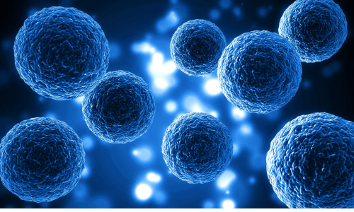 How to Clean Up Your Cells by Stimulating Autophagy