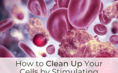 How to Clean Up Your Cells by Stimulating Autophagy