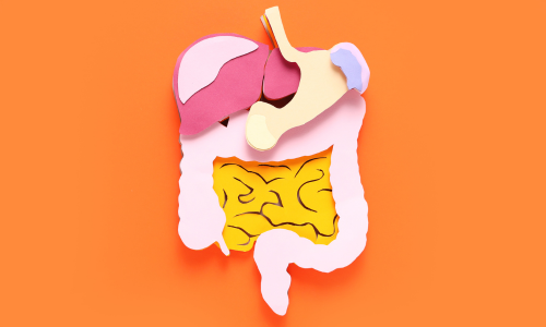 Improving Health with a Well-Functional Vagus Nerve: 7 Science-Backed Strategies