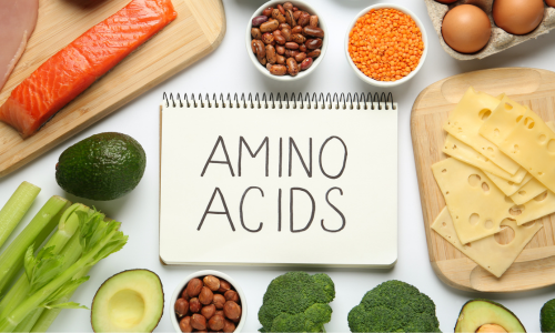 Fasted Cardio vs. Fed Training: The Research, the Myths, and What Actually Works